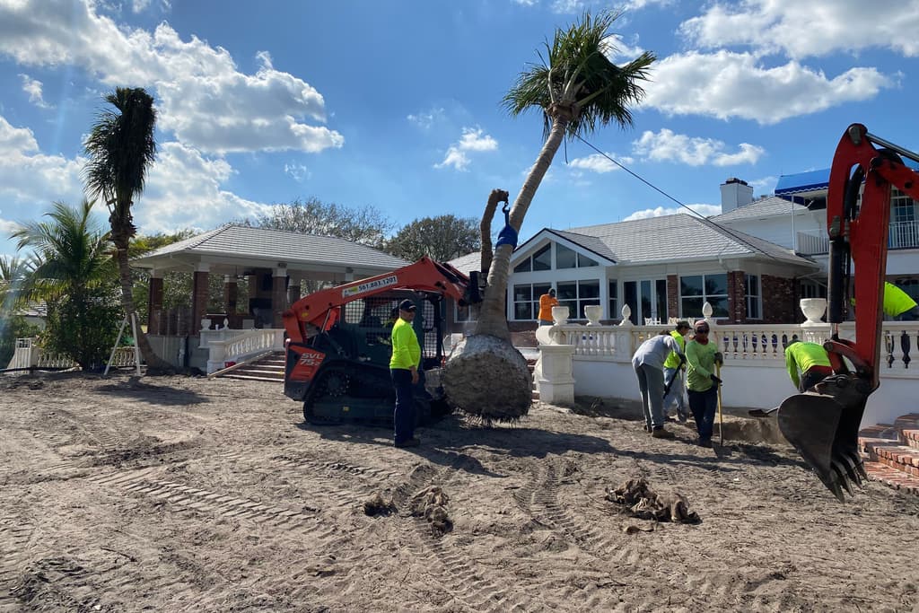 Site work behind a house with a white balustrade: a crew in high-visibility shirts guides a mature palm into place with a tracked loader and an excavator.